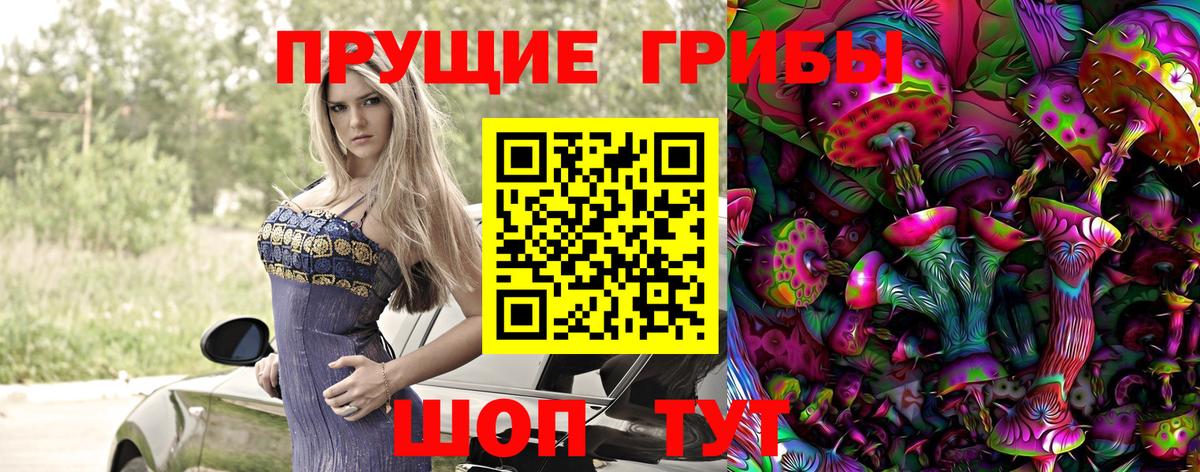 Тимашёвск  где купить наркоту  Вход с VPN  Псилоцибиновые грибы GOLDEN TEACHER 